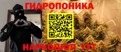 прущие грибы Кунгур