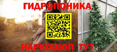 apvp Краснокаменск