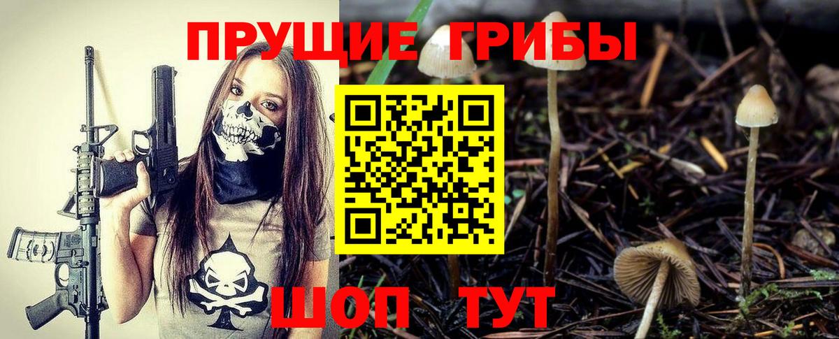 Псилоцибиновые грибы MAGIC MUSHROOMS Кировск