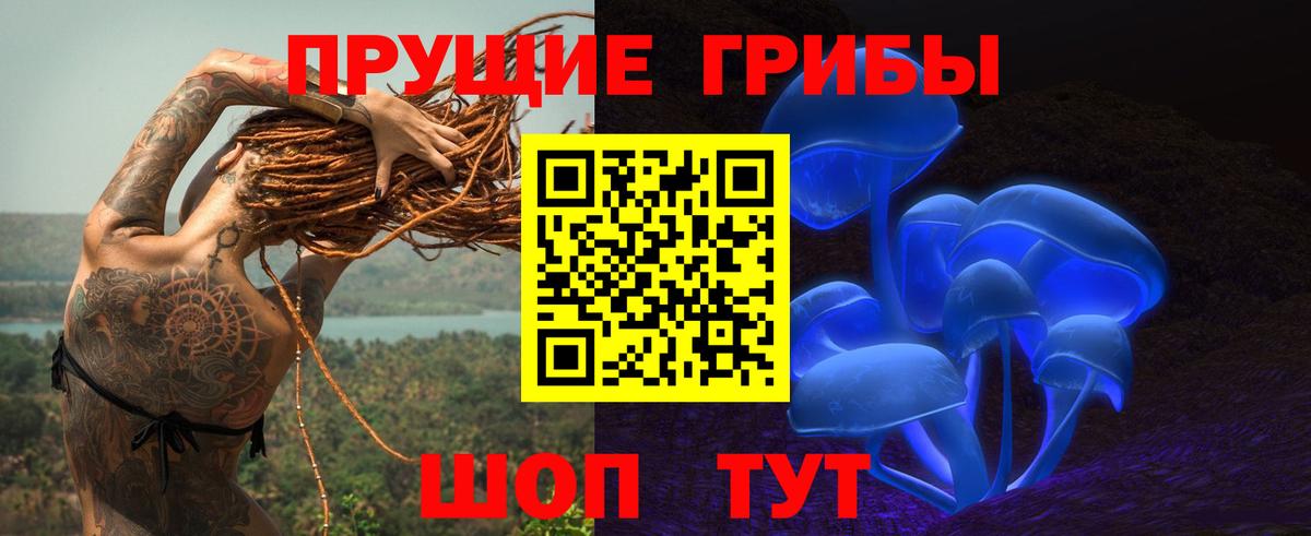 Галлюциногенные грибы Psilocybine cubensis  Вход с VPN  Кировск  Галлюциногенные грибы Psilocybine cubensis 